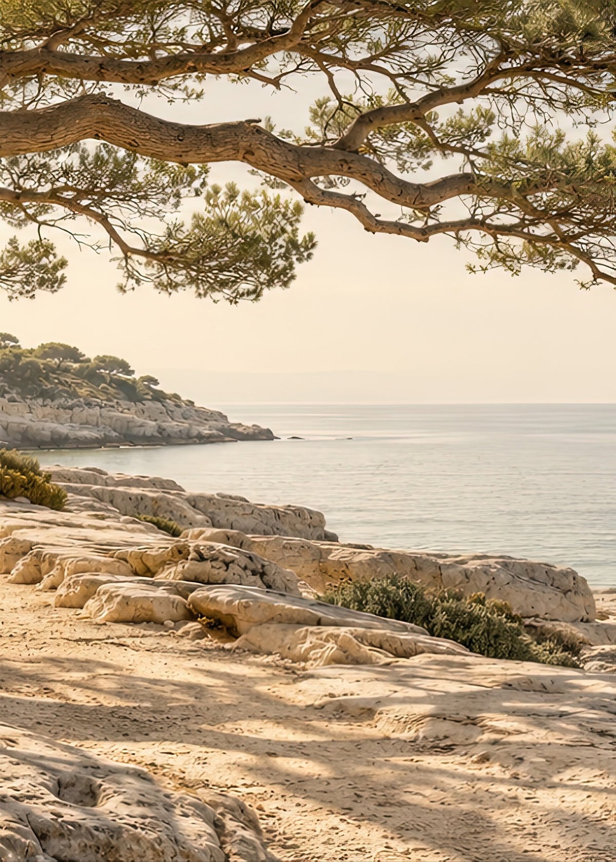 La Branche sur la Mer — affiche murale, poster sans cadre