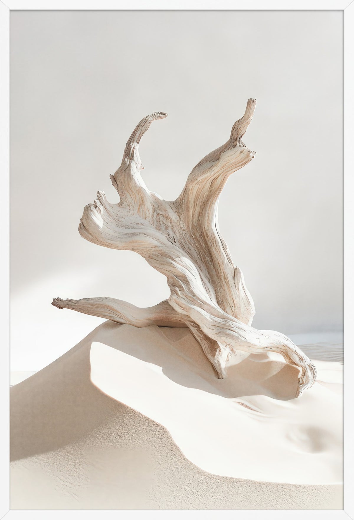 Shore Dance — poster in a white frame, front view