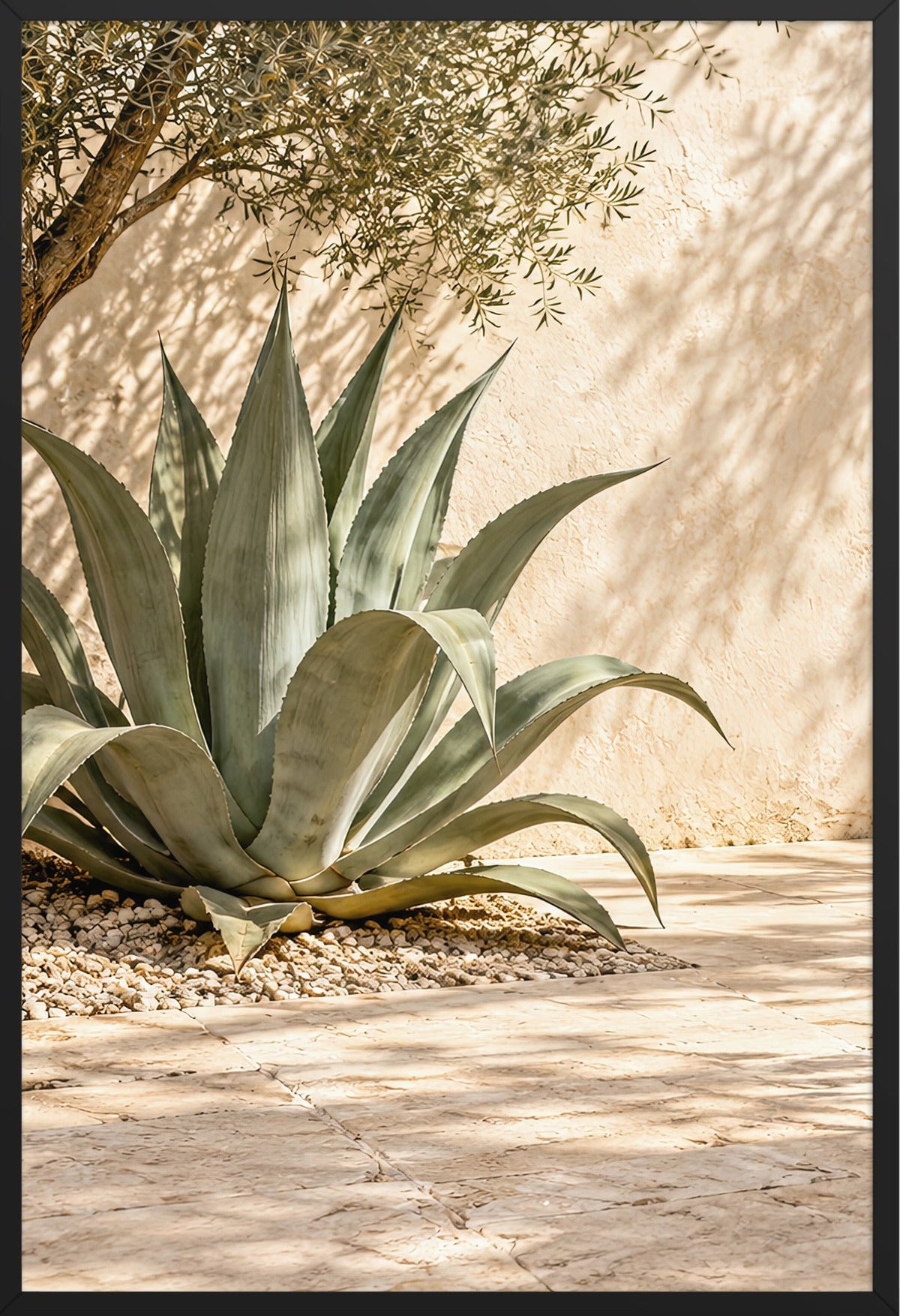 Die Agave unter dem Olivenbaum — schwarzer Rahmen, 61 × 91 cm