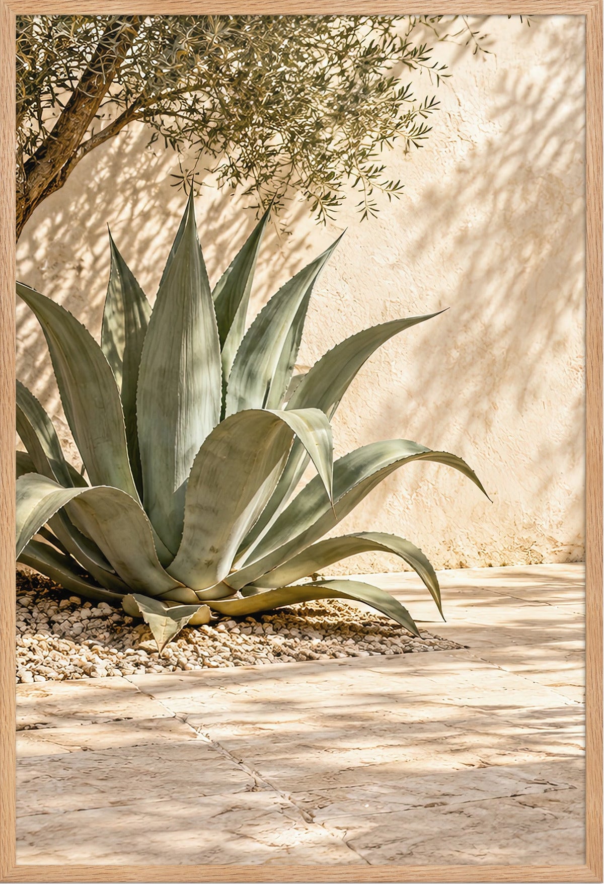 Die Agave unter dem Olivenbaum — Rahmen aus massiver Eiche, 61 × 91 cm