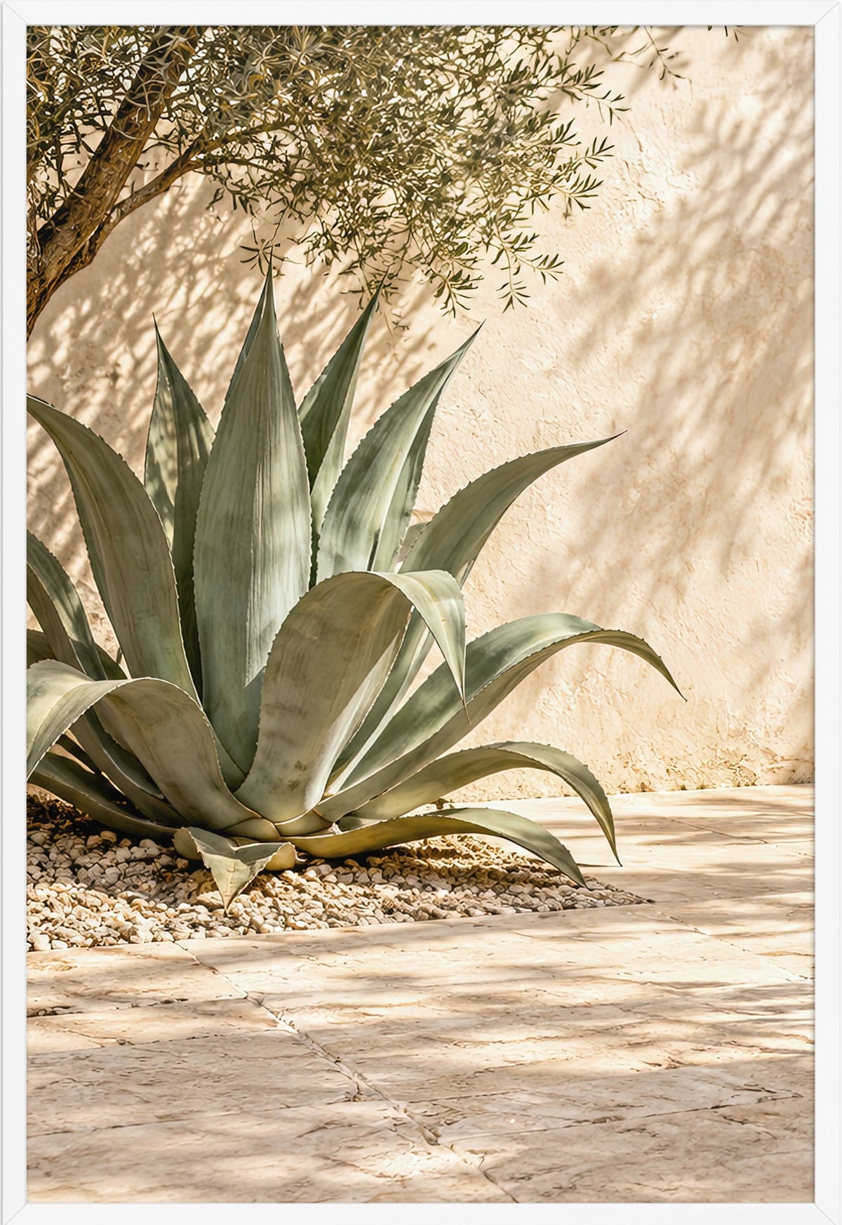 Die Agave unter dem Olivenbaum — weißer Rahmen, 61 × 91 cm