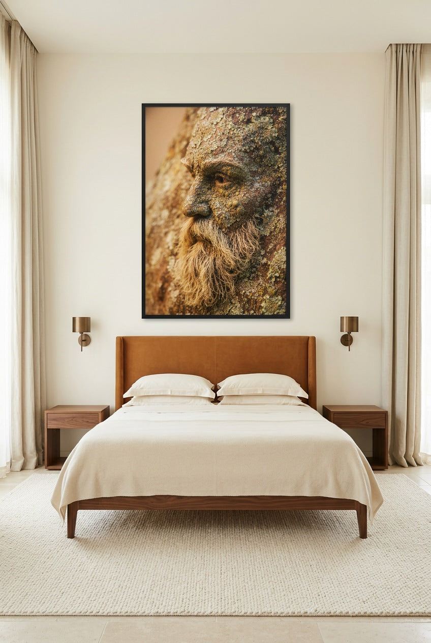 Le Sage de l’Écorce — poster com moldura preta num quarto