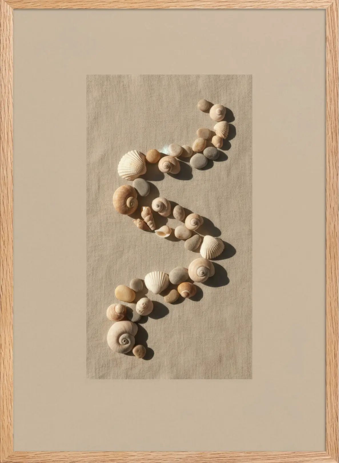 Spirale de Coquillages — Encadrée — affiche murale minimaliste | Cassili-home