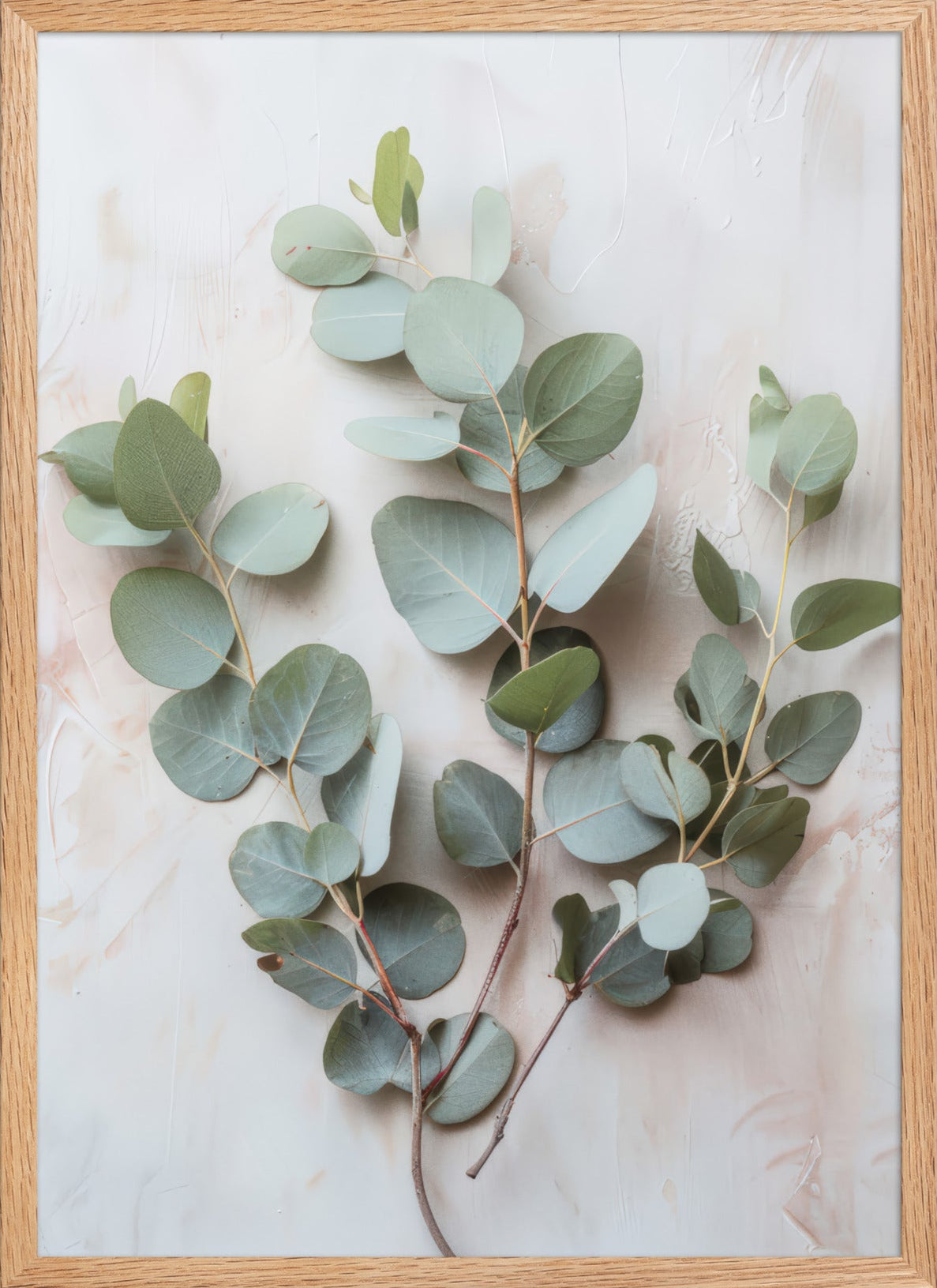 Eucalyptus Herbarium — Framed