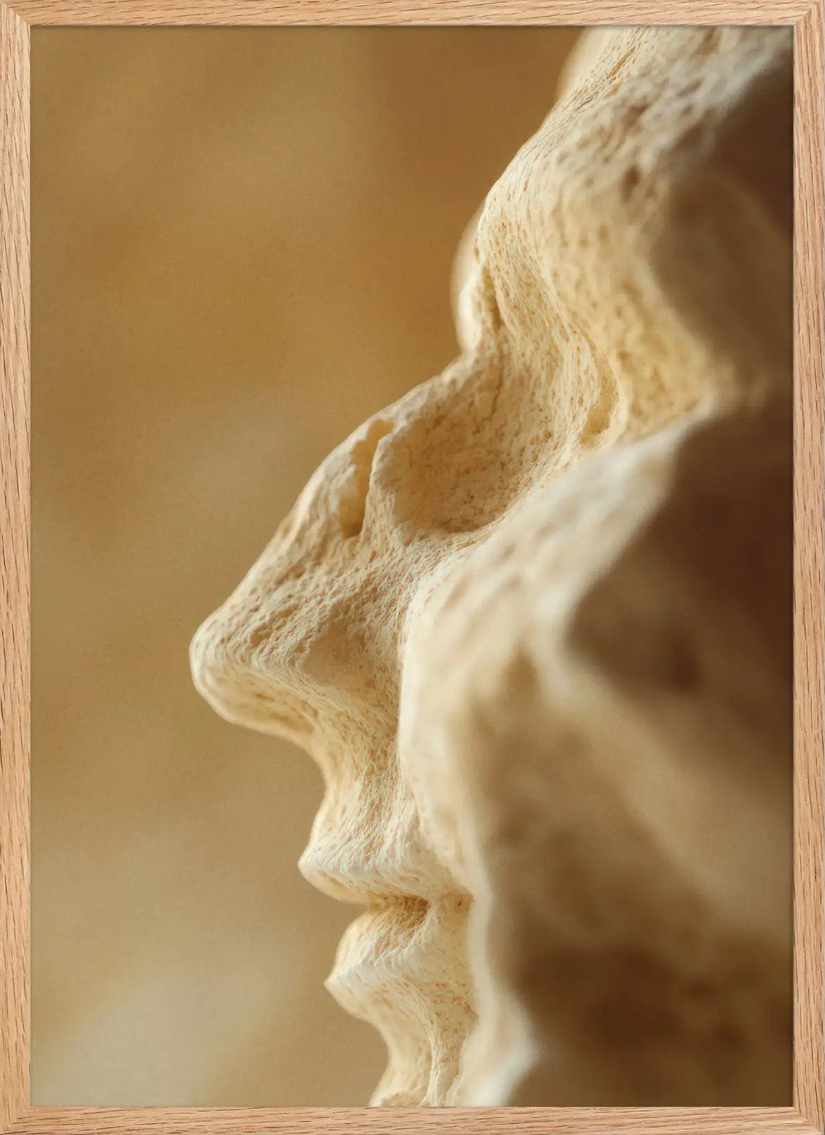 Relic — Framed