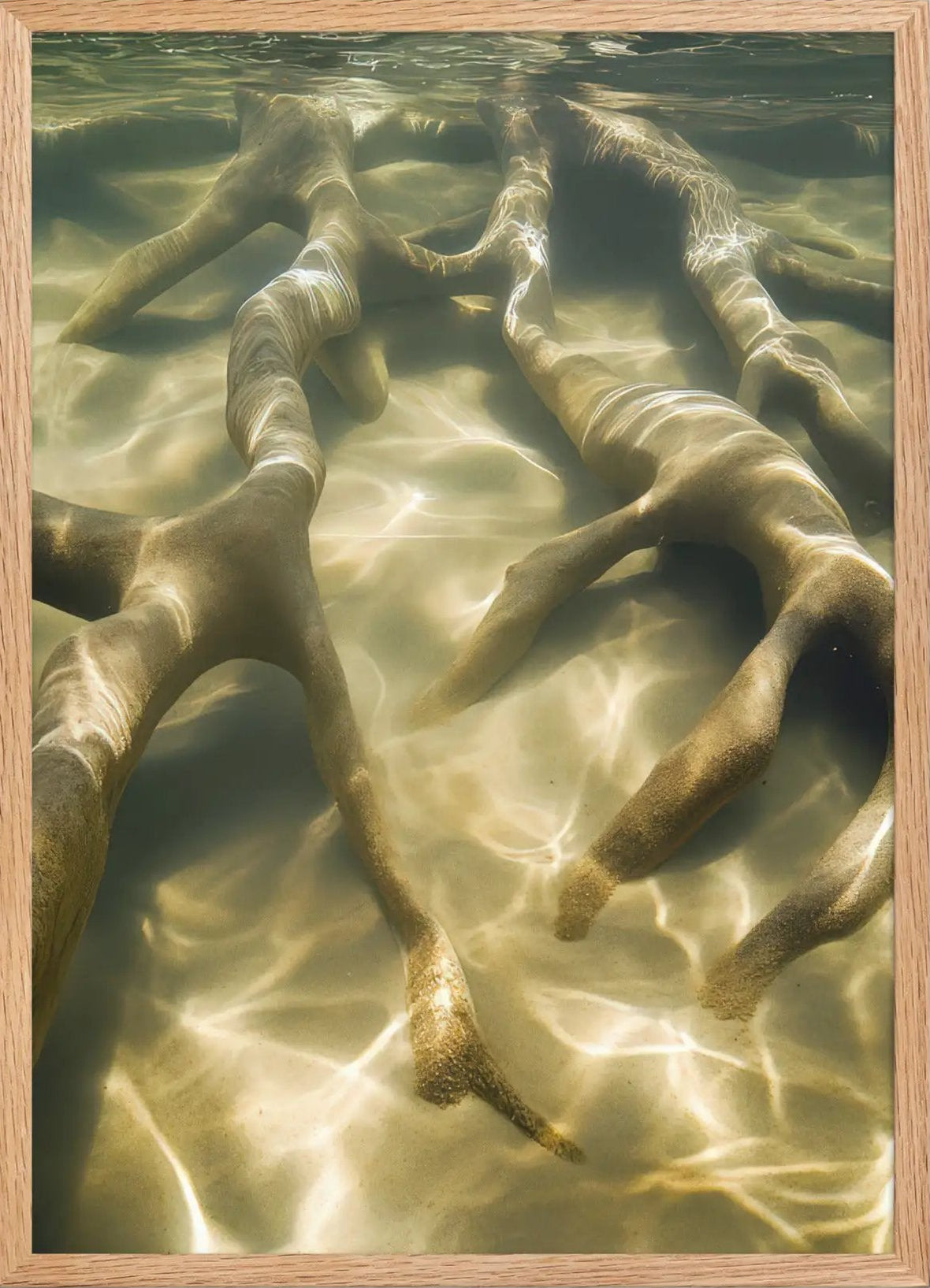Immersion — Supervised