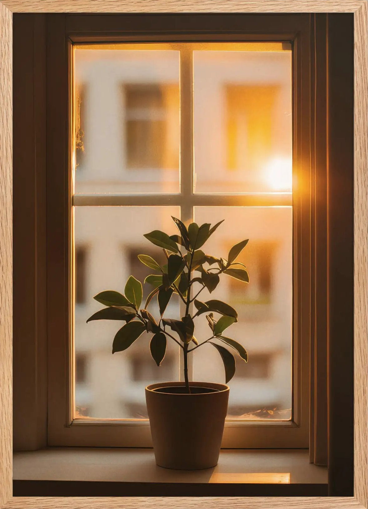 Evening Plant — Framed