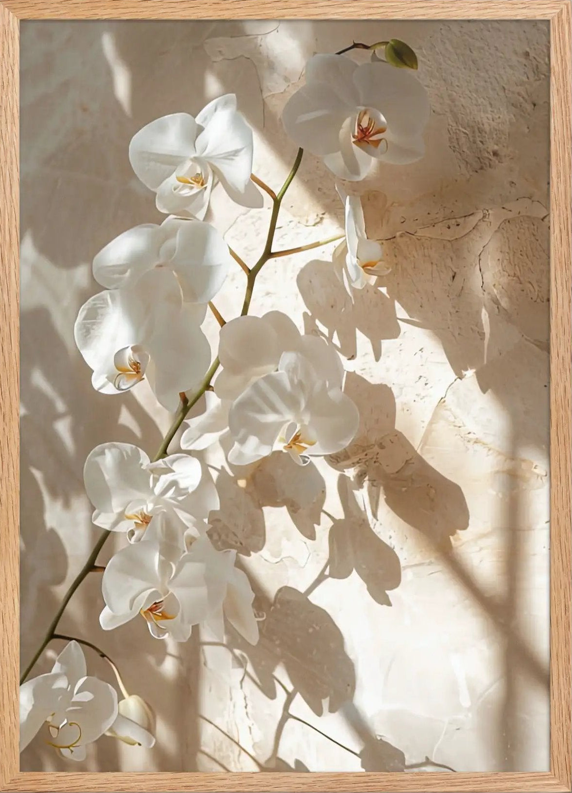 Orkidékvisten — Minimalistisk väggaffisch elfenben blomster