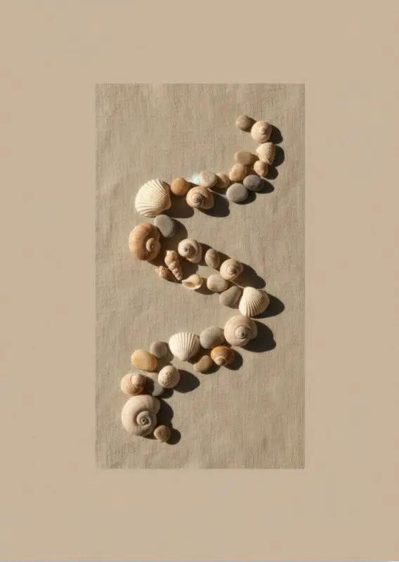Spirale de Coquillages — Affiche murale minimaliste beige inspiration marine et nature — affiche murale minimaliste | Cassili-home