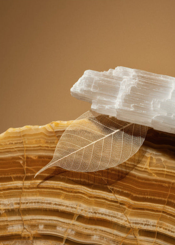 Selenite & Leaf — Minimalist Honey Mineral Wall Art