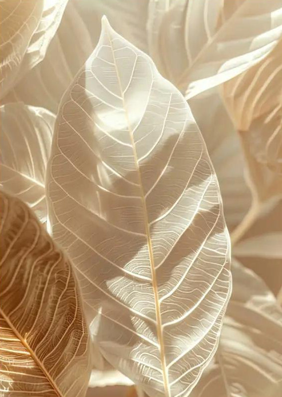 El Bosque de Luz — Póster de pared minimalista marfil oro hojas