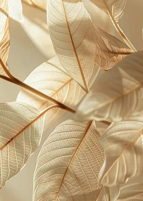 L’Or des Feuilles – Minimalistisches Wandposter Champagner Goldblätter