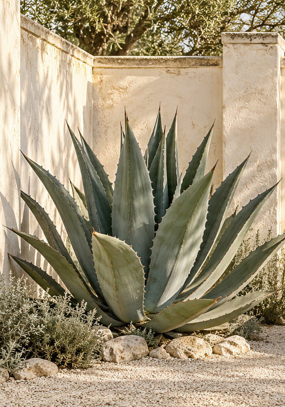 The Great Agave — unframed poster 70 × 100 cm, 189 gsm matte paper