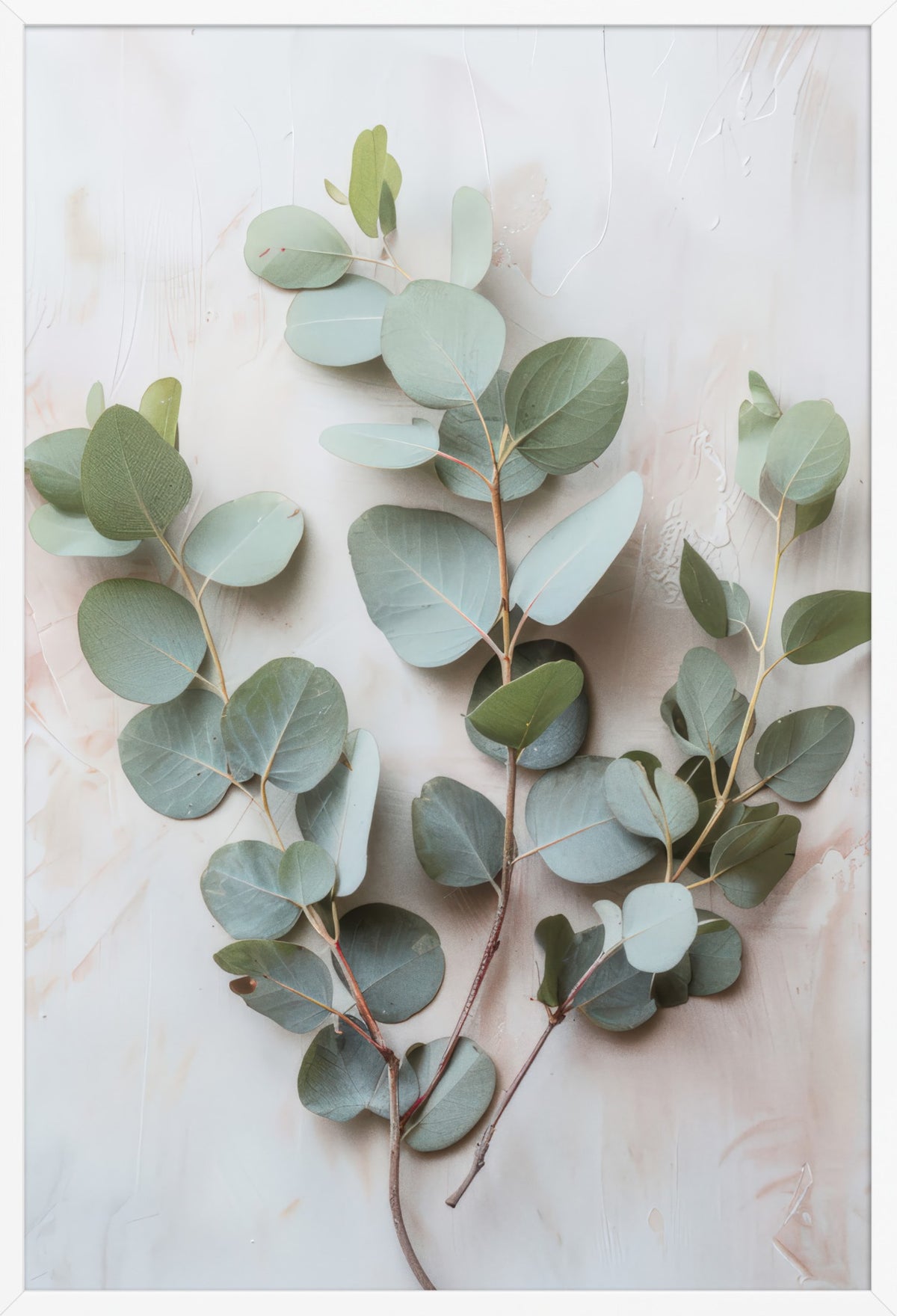 Eucalyptus Herbarium — poster in a white frame, front view