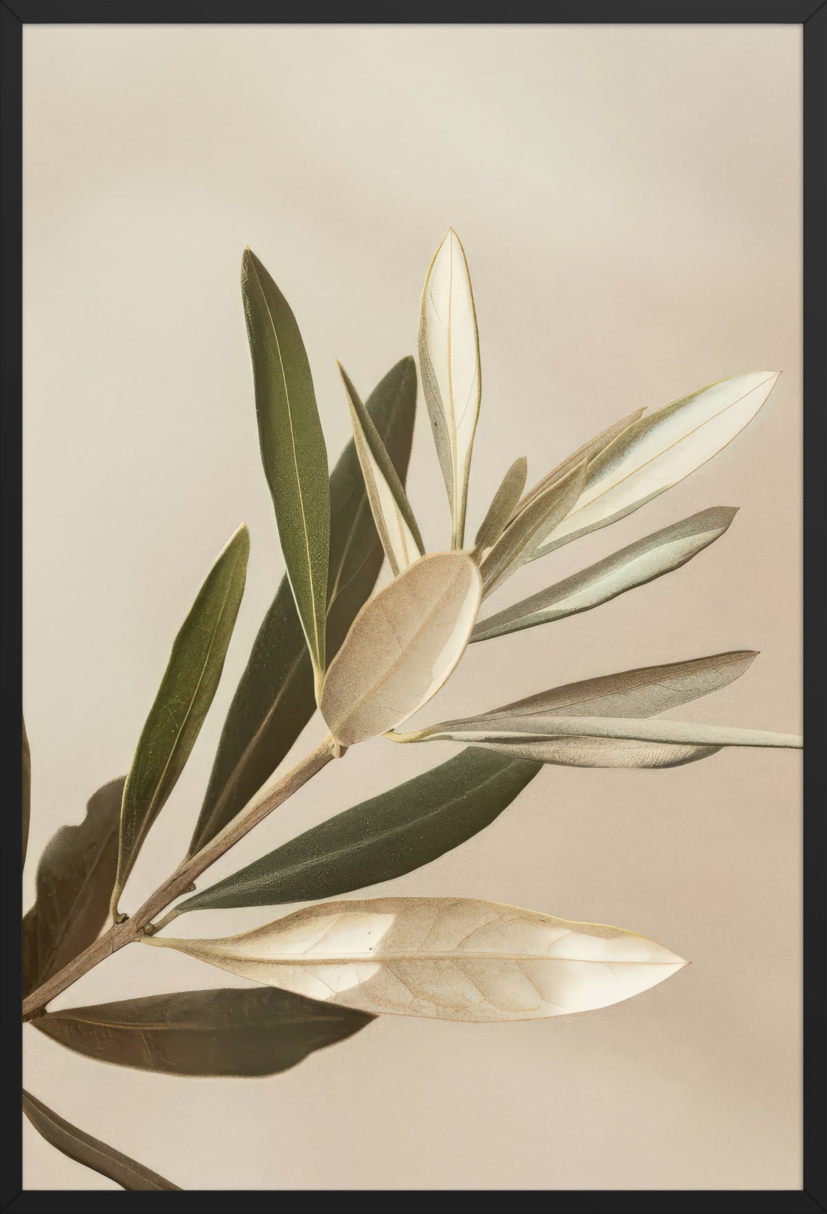 Olive Branch in Olive Green — poster in a black frame, front view