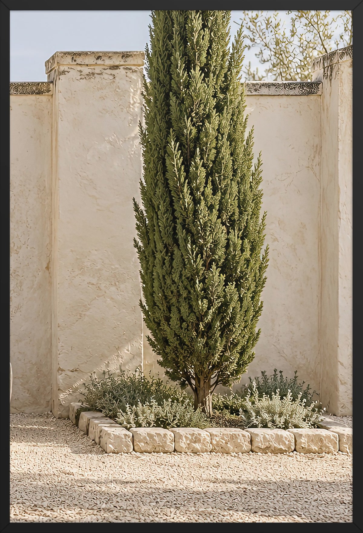 The Lone Cypress — poster in a black frame, 61 × 91 cm