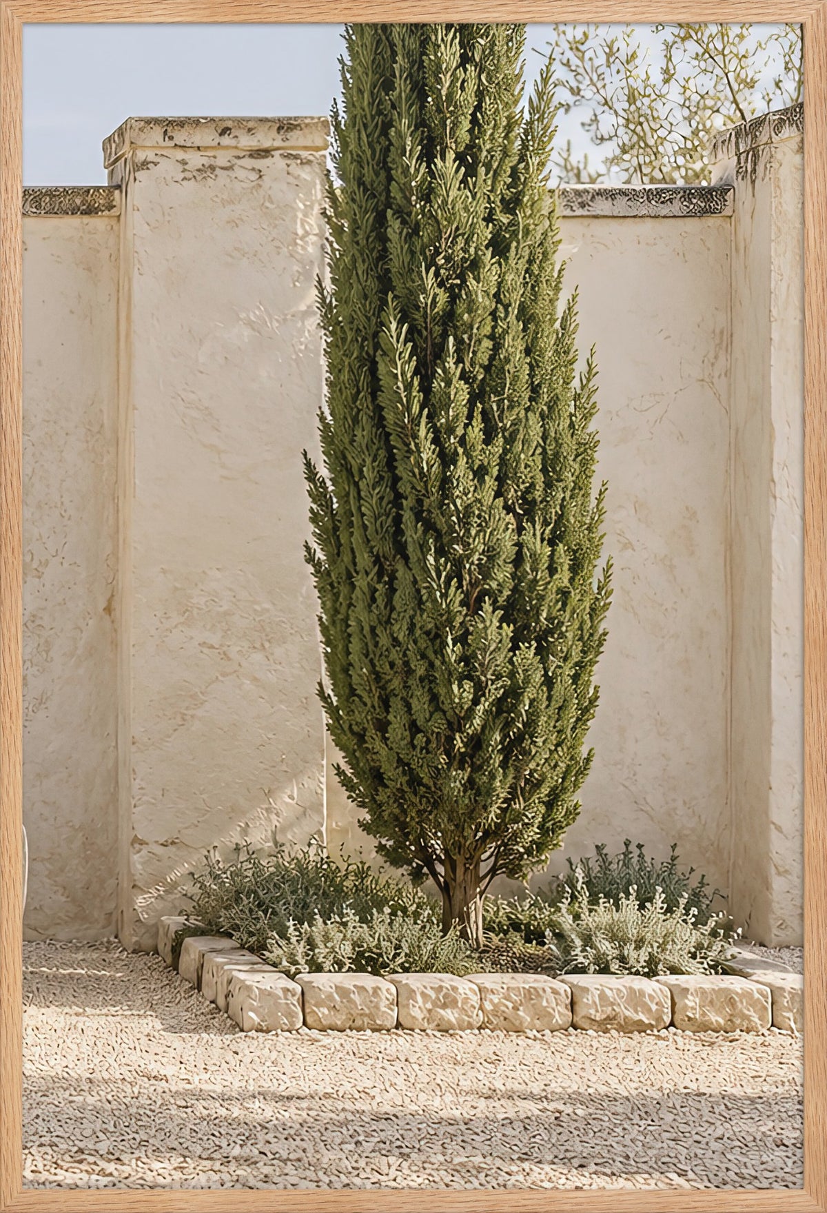 The Lone Cypress — poster framed in solid oak 61 × 91 cm, ready to hang