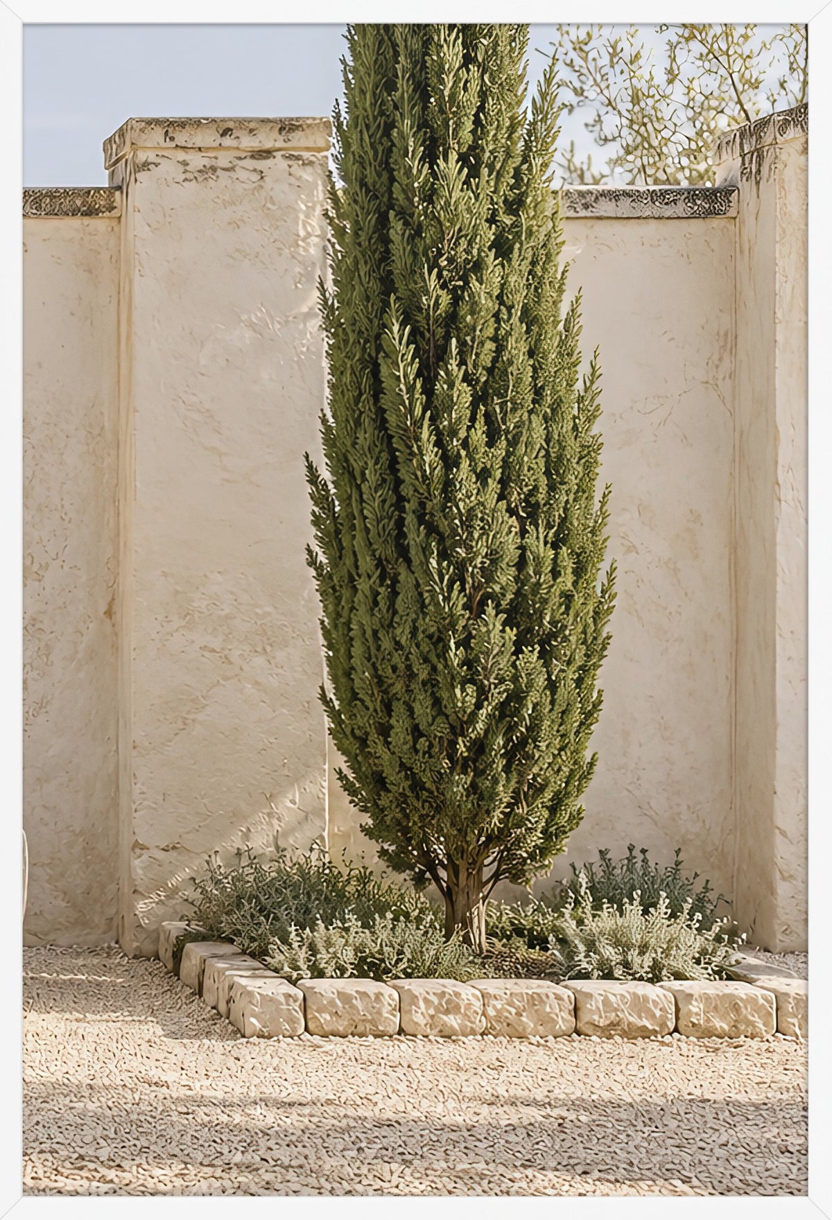 The Lone Cypress — poster in a white frame, 61 × 91 cm