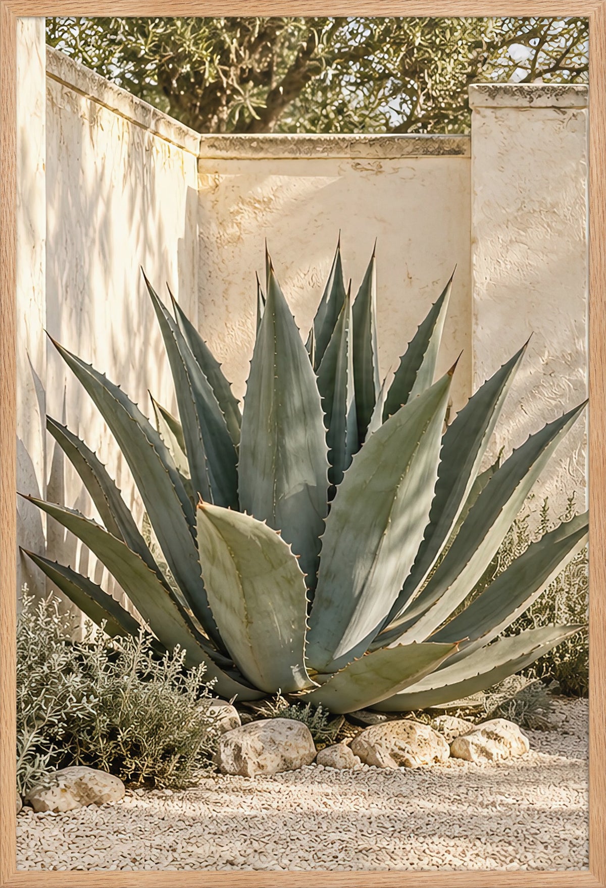 The Great Agave — poster framed in solid oak 61 × 91 cm, ready to hang