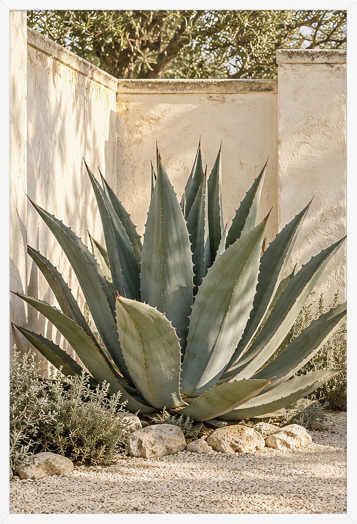 The Great Agave — poster in a white frame, 61 × 91 cm