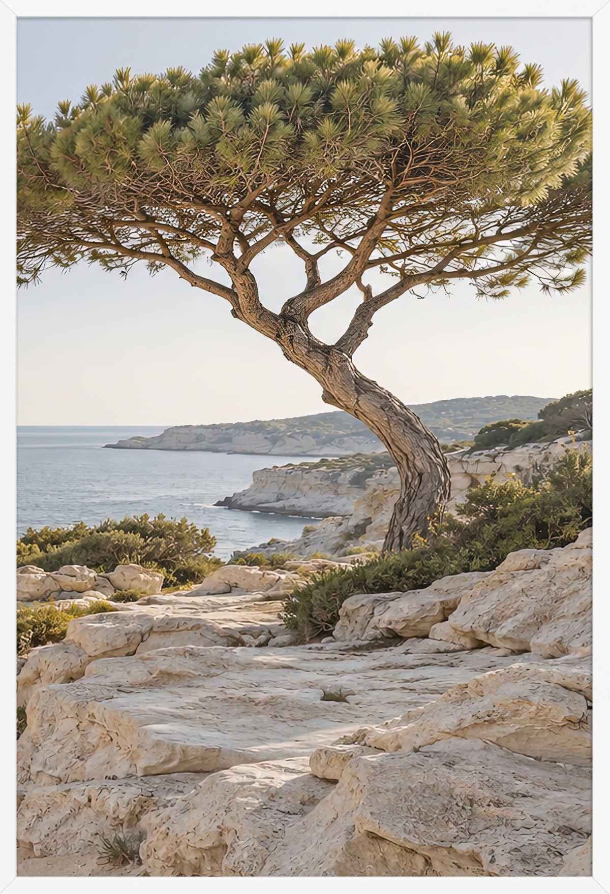 Le Pin Penché — affiche encadrée blanche, 61 × 91 cm