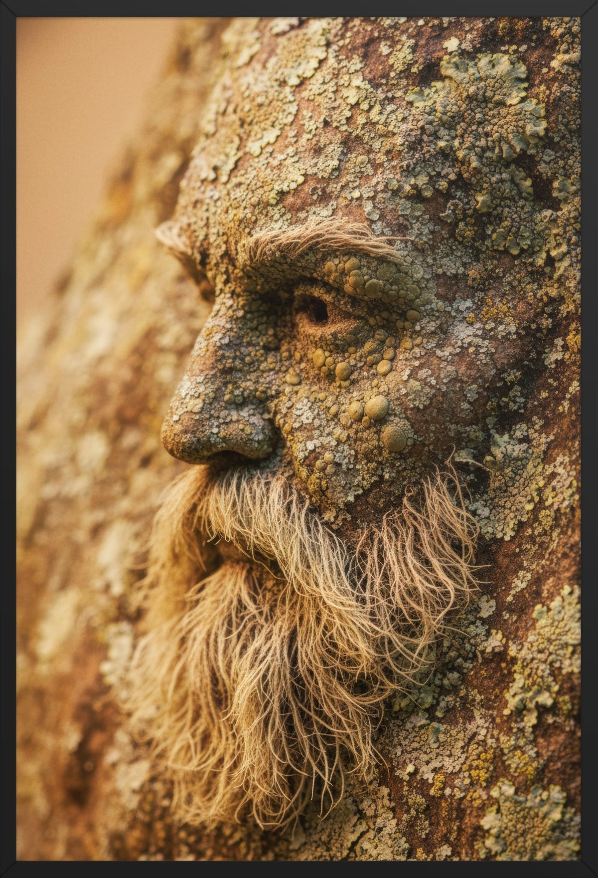 The Sage of the Bark — poster in a black frame, front view