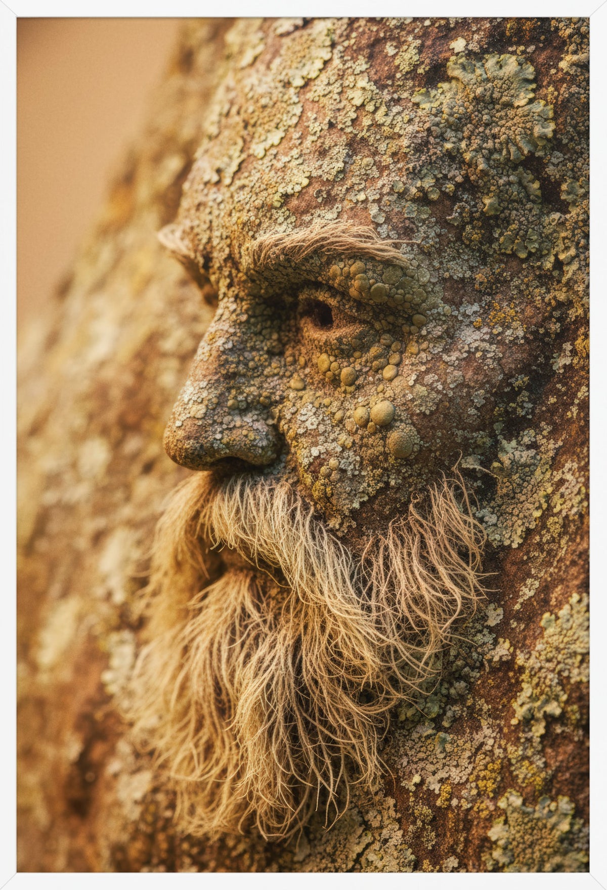 The Sage of the Bark — poster in a white frame, front view