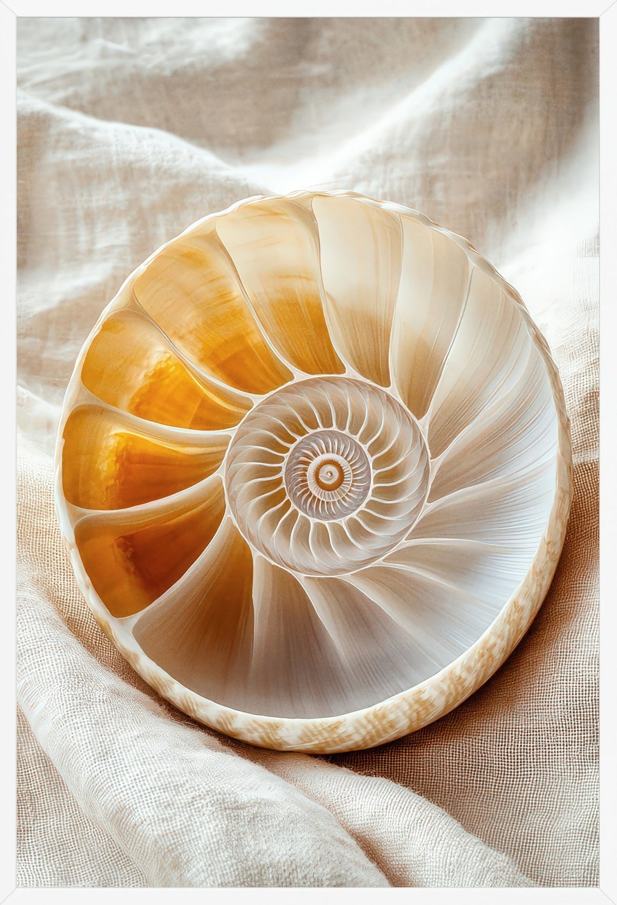 Goldener Nautilus — Poster im weißen Rahmen, Frontansicht