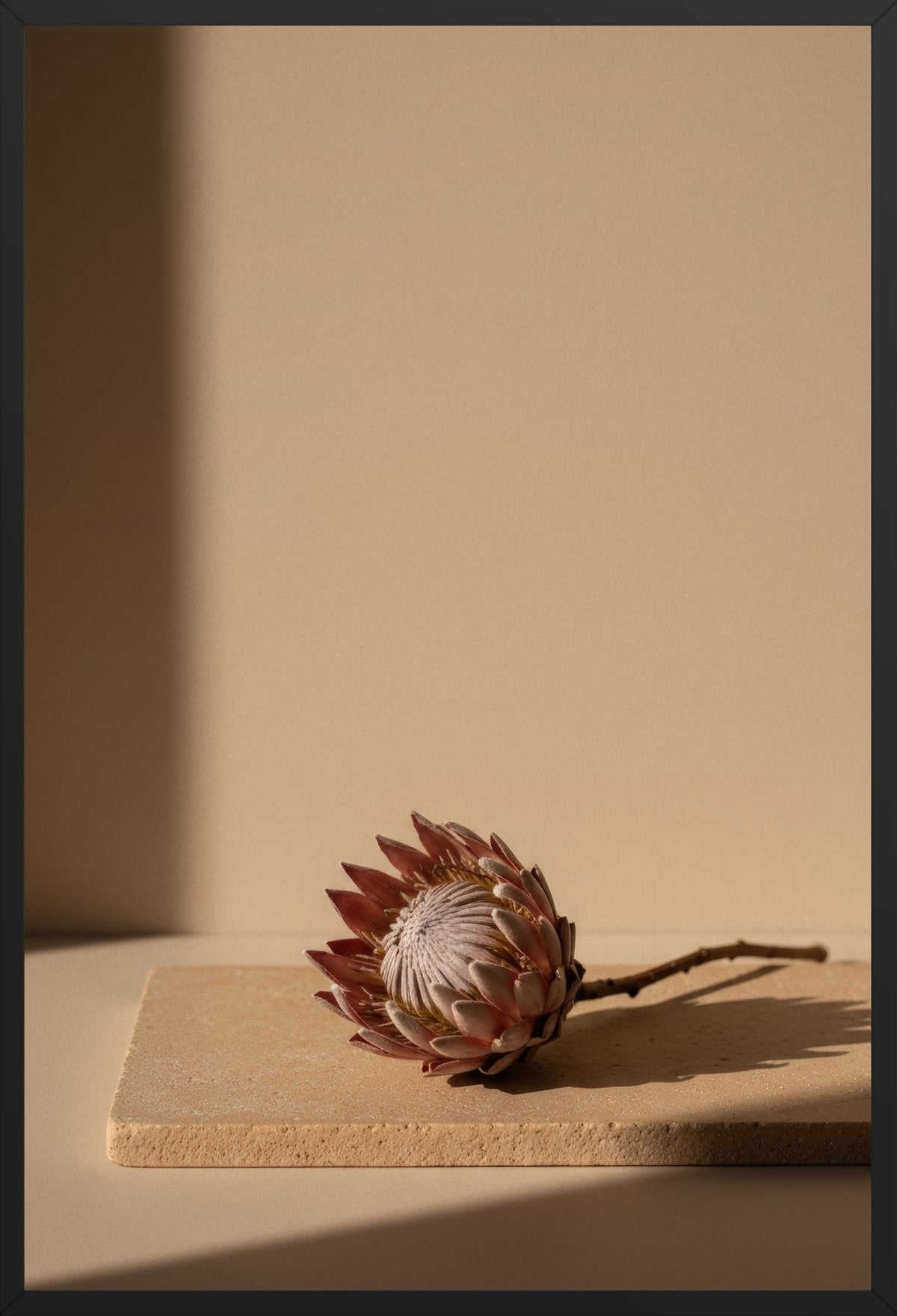 Protea on Travertine — poster in a black frame, front view