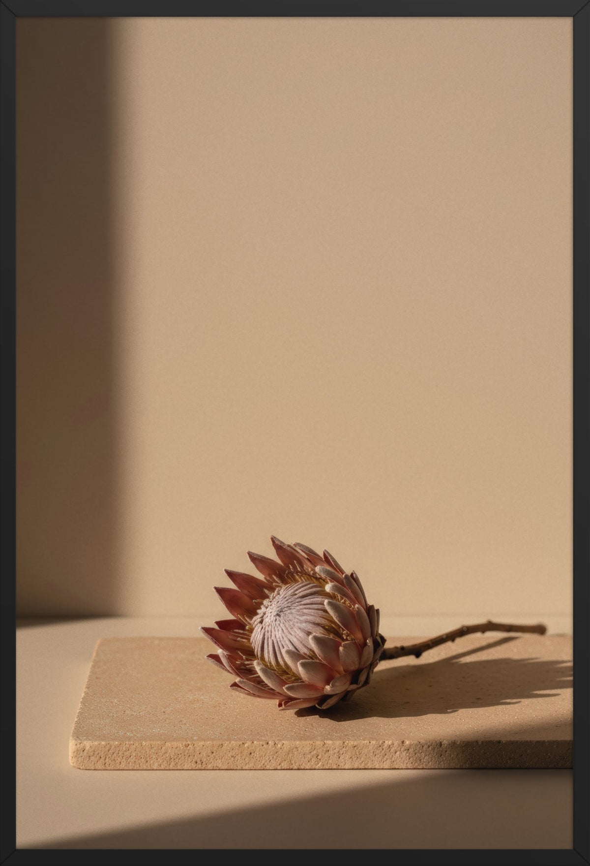 Protea on Travertine — poster in a black frame, front view