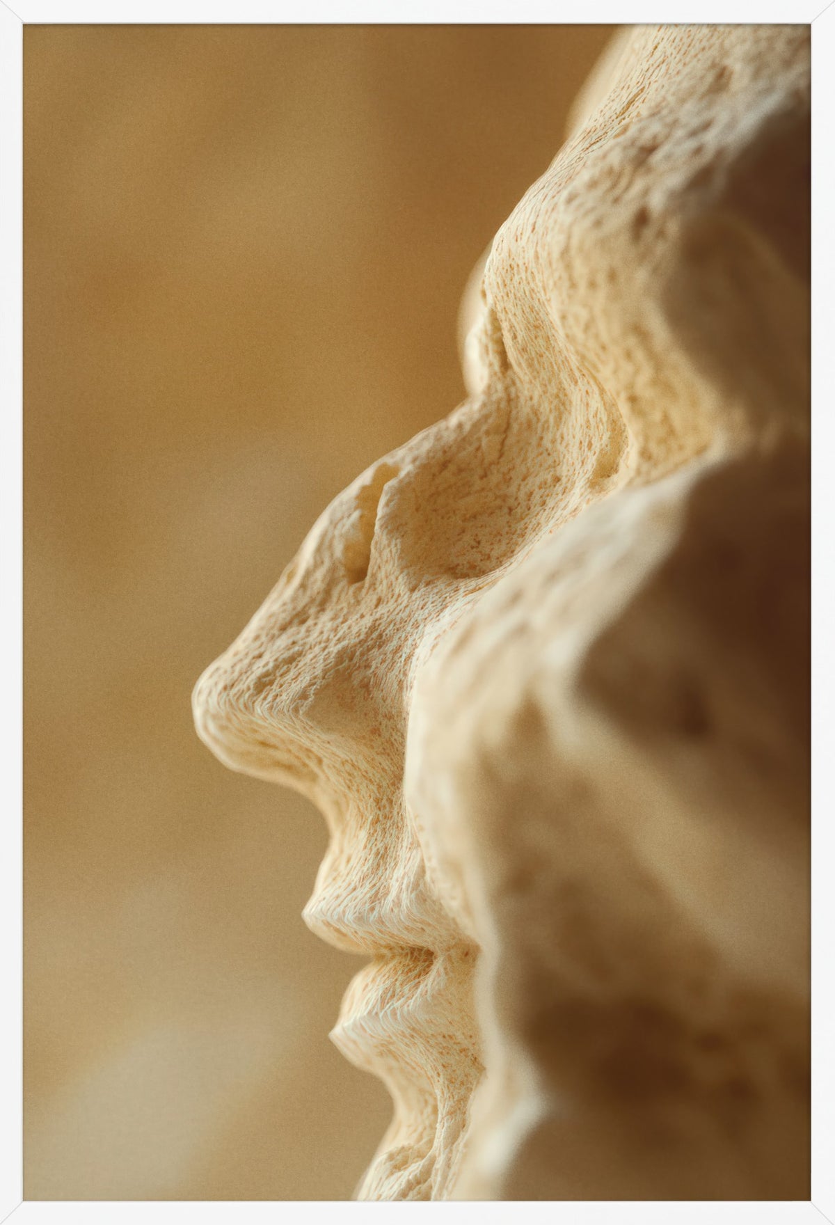 Relic — poster in a white frame, front view