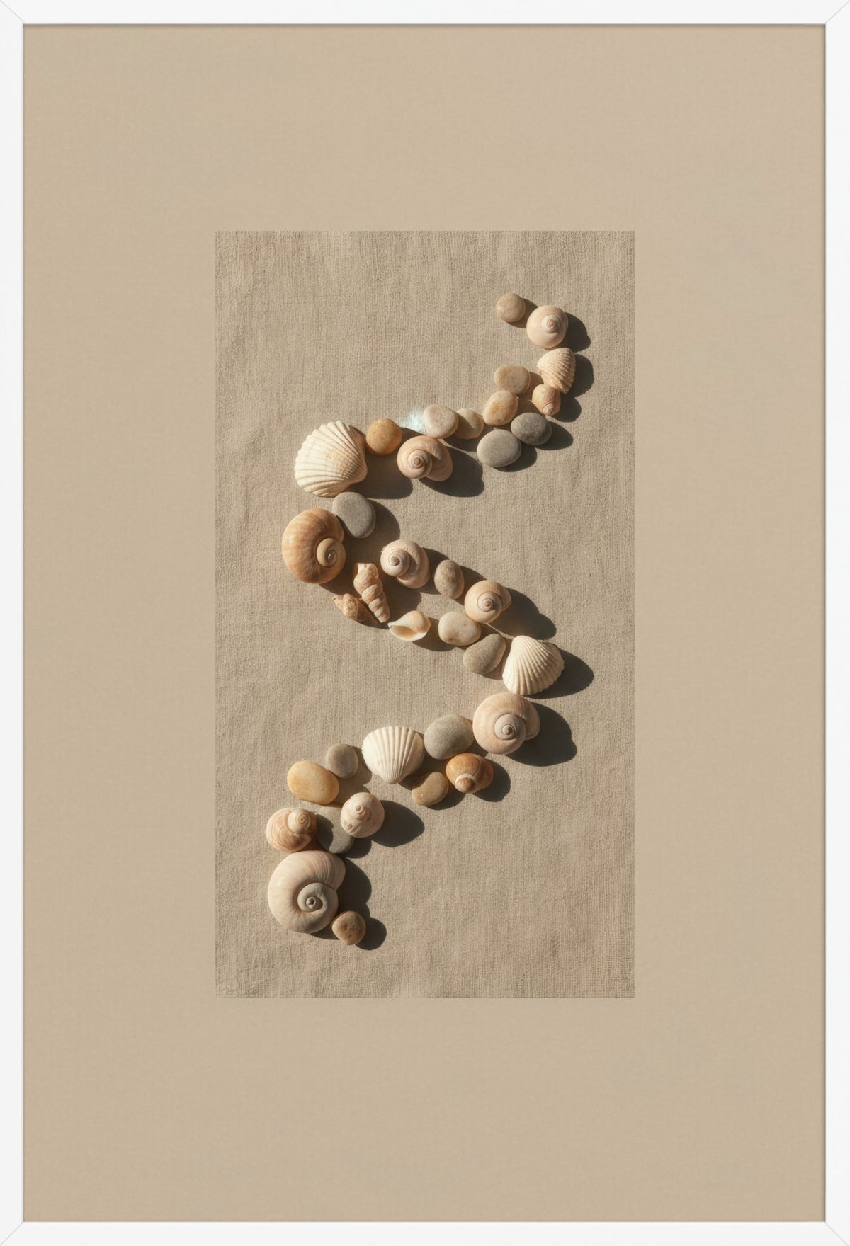 Seashell Spiral — poster in a white frame, front view
