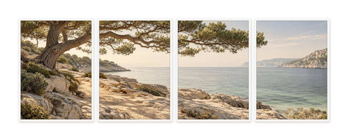Le Grand Pin Marin — quadriptyque, cadre blanc