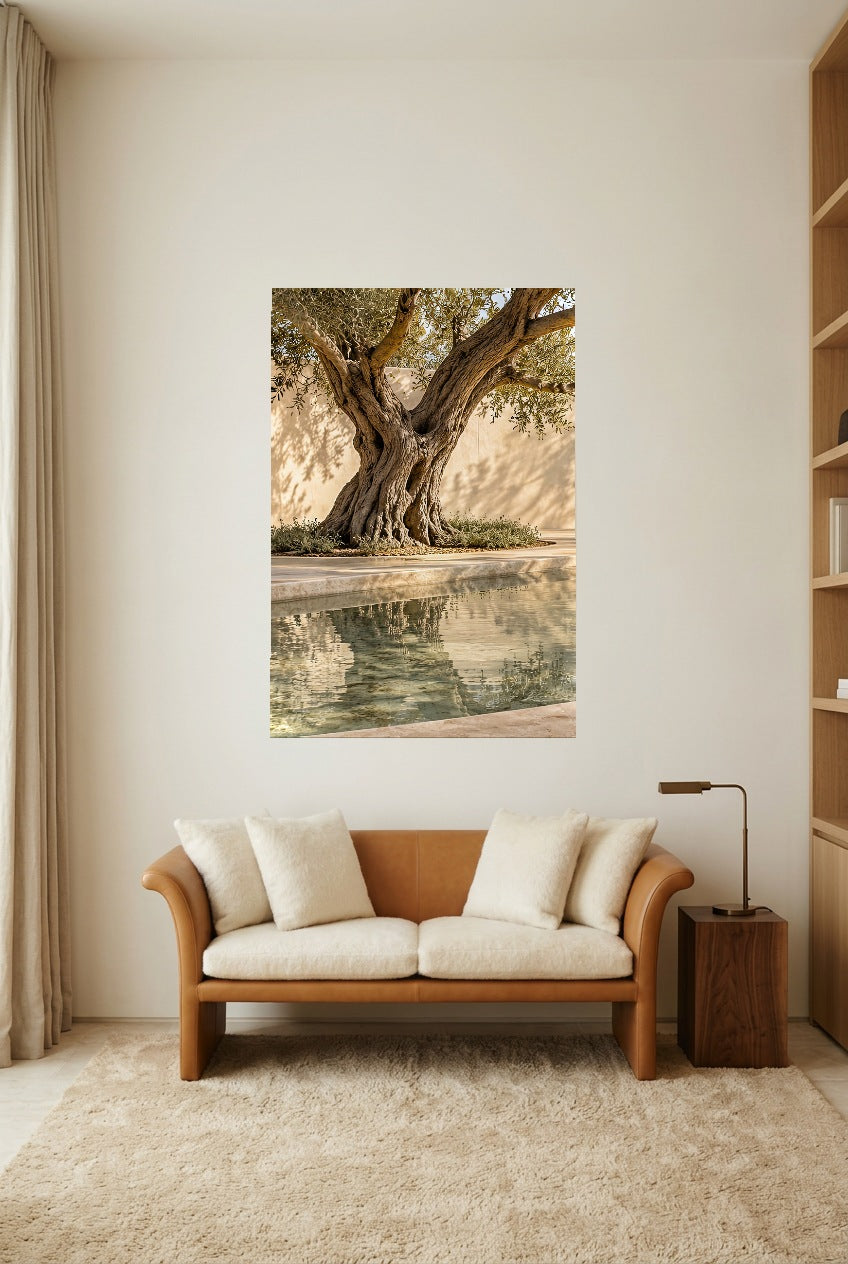 The Pool Olive Tree — unframed poster in a reading room