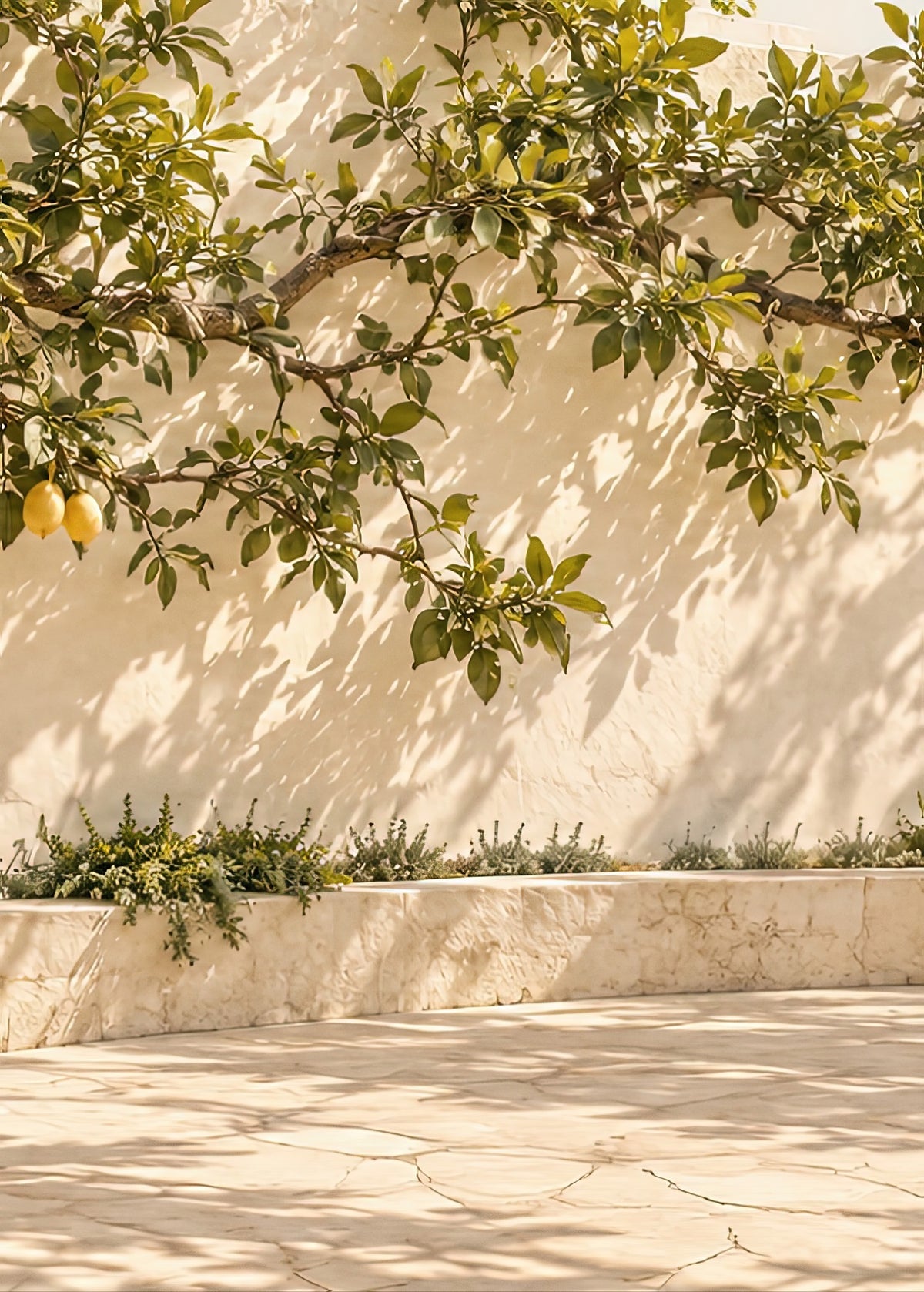 La Rama de Limones — cuadro mural, póster sin marco