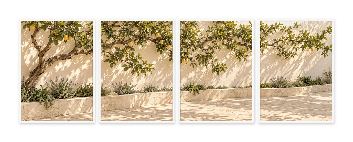 Le Citronnier du Patio — quadriptyque, cadre blanc