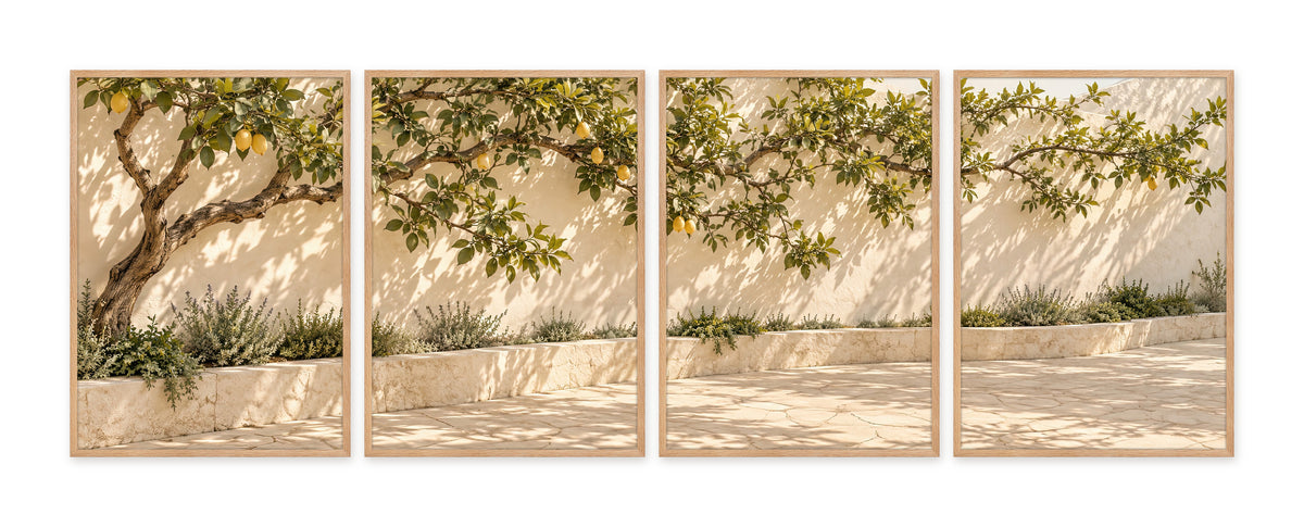 Le Citronnier du Patio — quadriptyque, cadre chêne