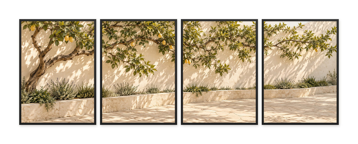 Le Citronnier du Patio — quadriptyque, cadre noir