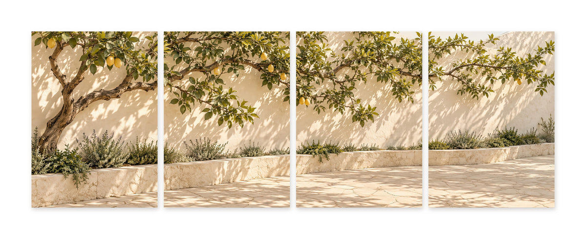 Le Citronnier du Patio — quadriptyque, poster sans cadre