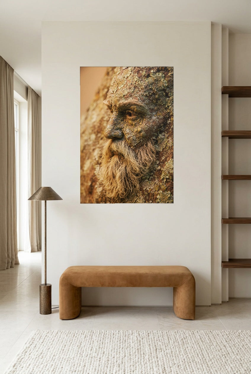 Le Sage de l’Écorce — poster sem moldura numa sala de leitura