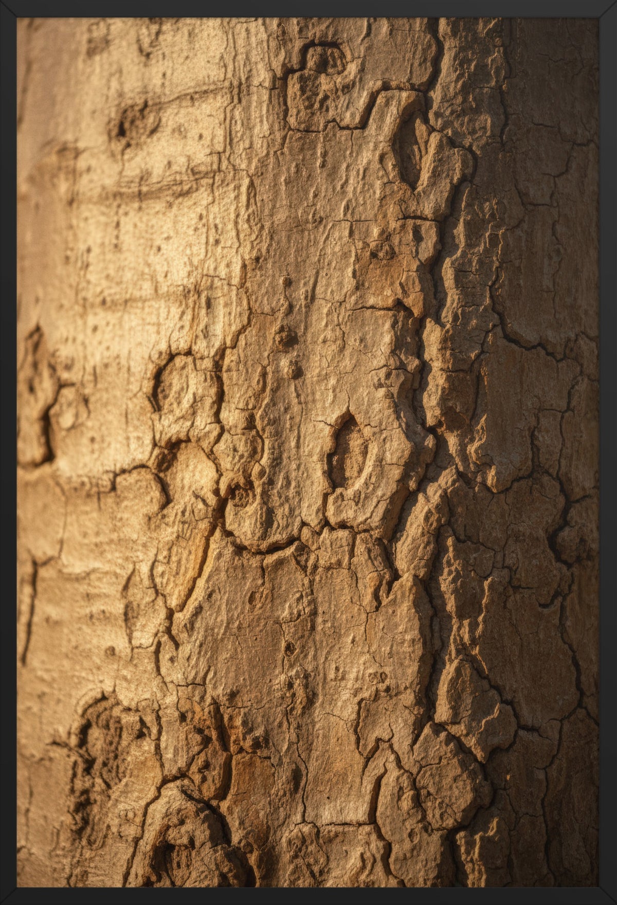 Burnt Bark — poster in a black frame, front view