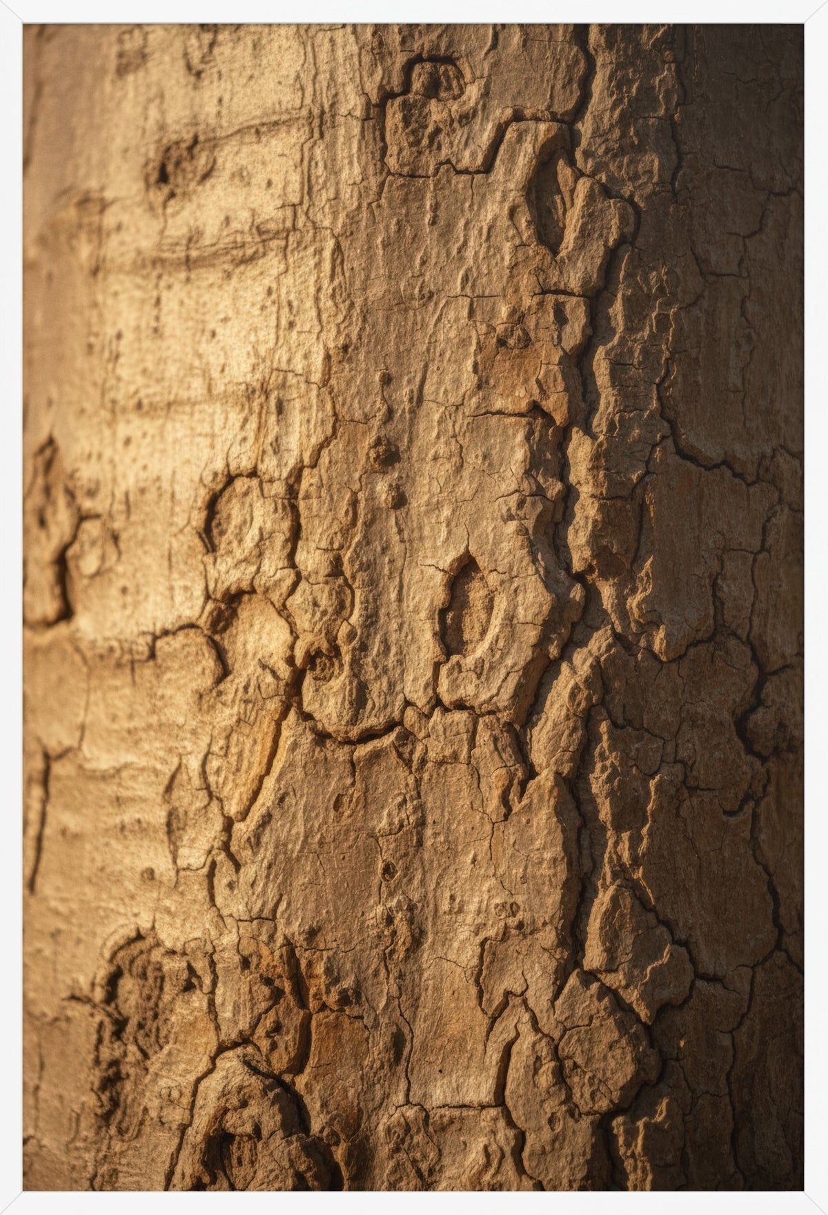 Burnt Bark — poster in a white frame, front view