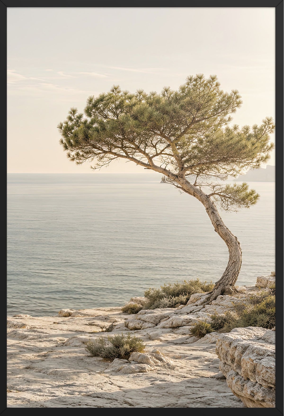 El Pino de la Orilla — marco negro, 61 × 91 cm