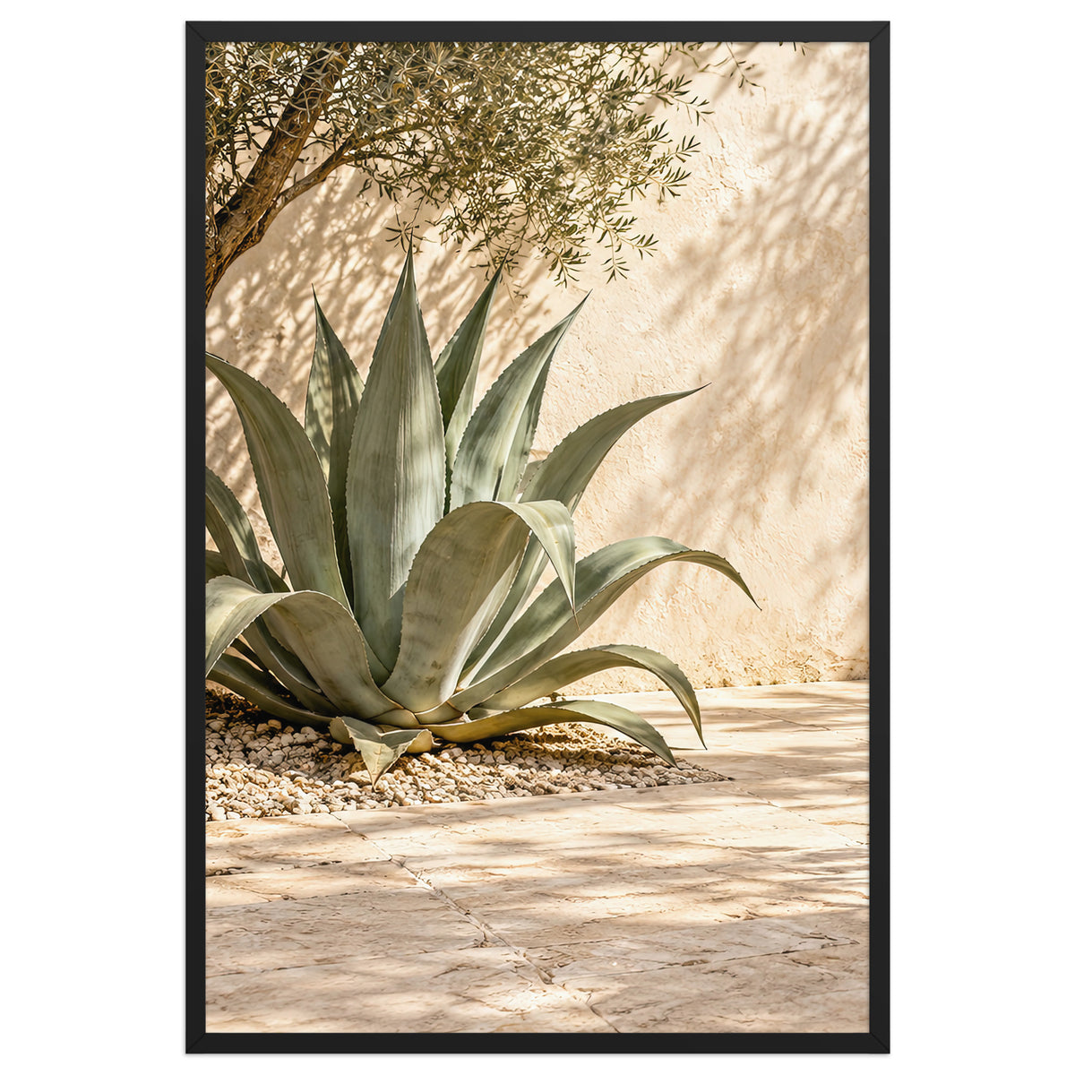 Die Agave unter dem Olivenbaum — schwarzer Rahmen, 61 × 91 cm