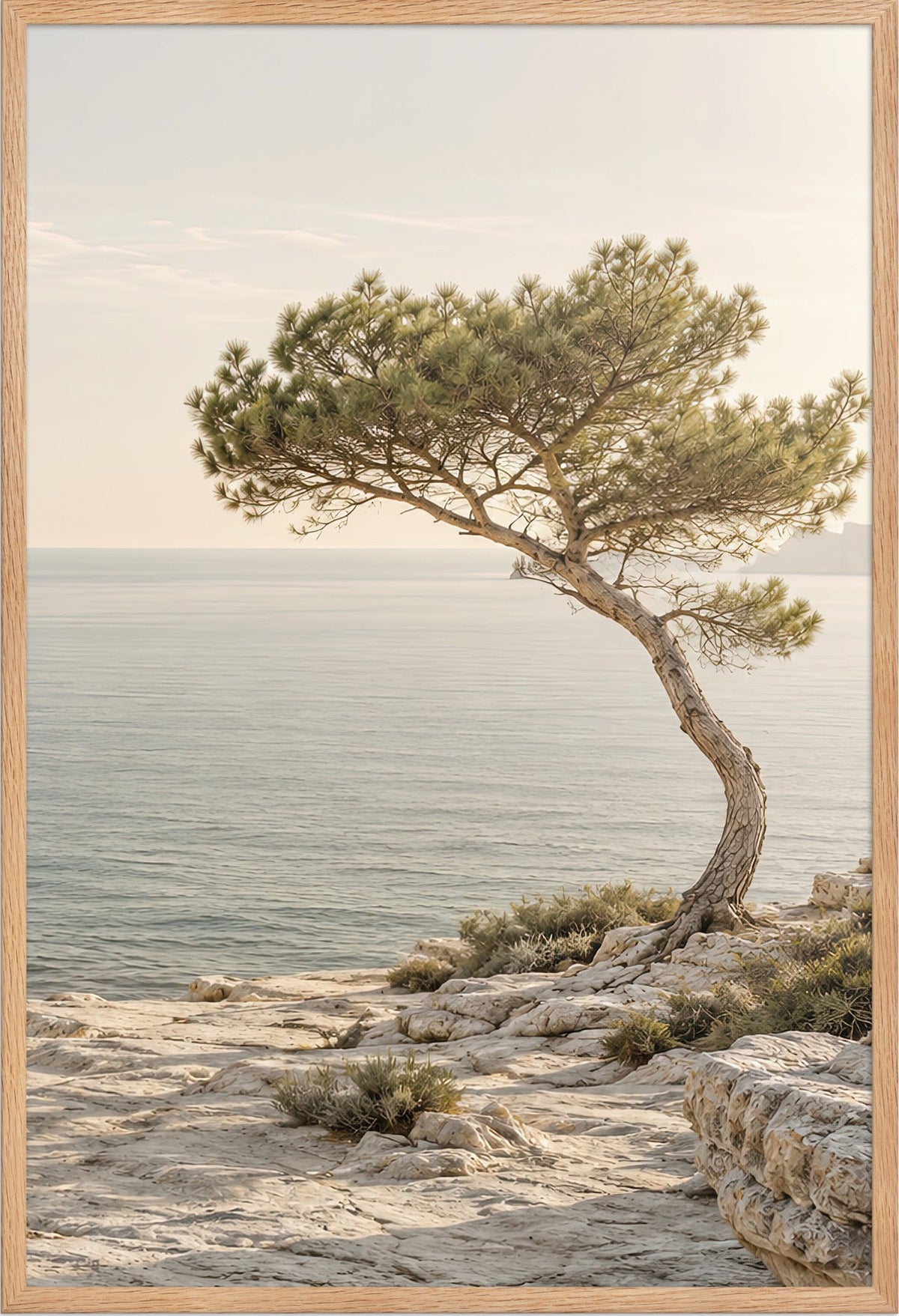 El Pino de la Orilla — marco de roble macizo, 61 × 91 cm