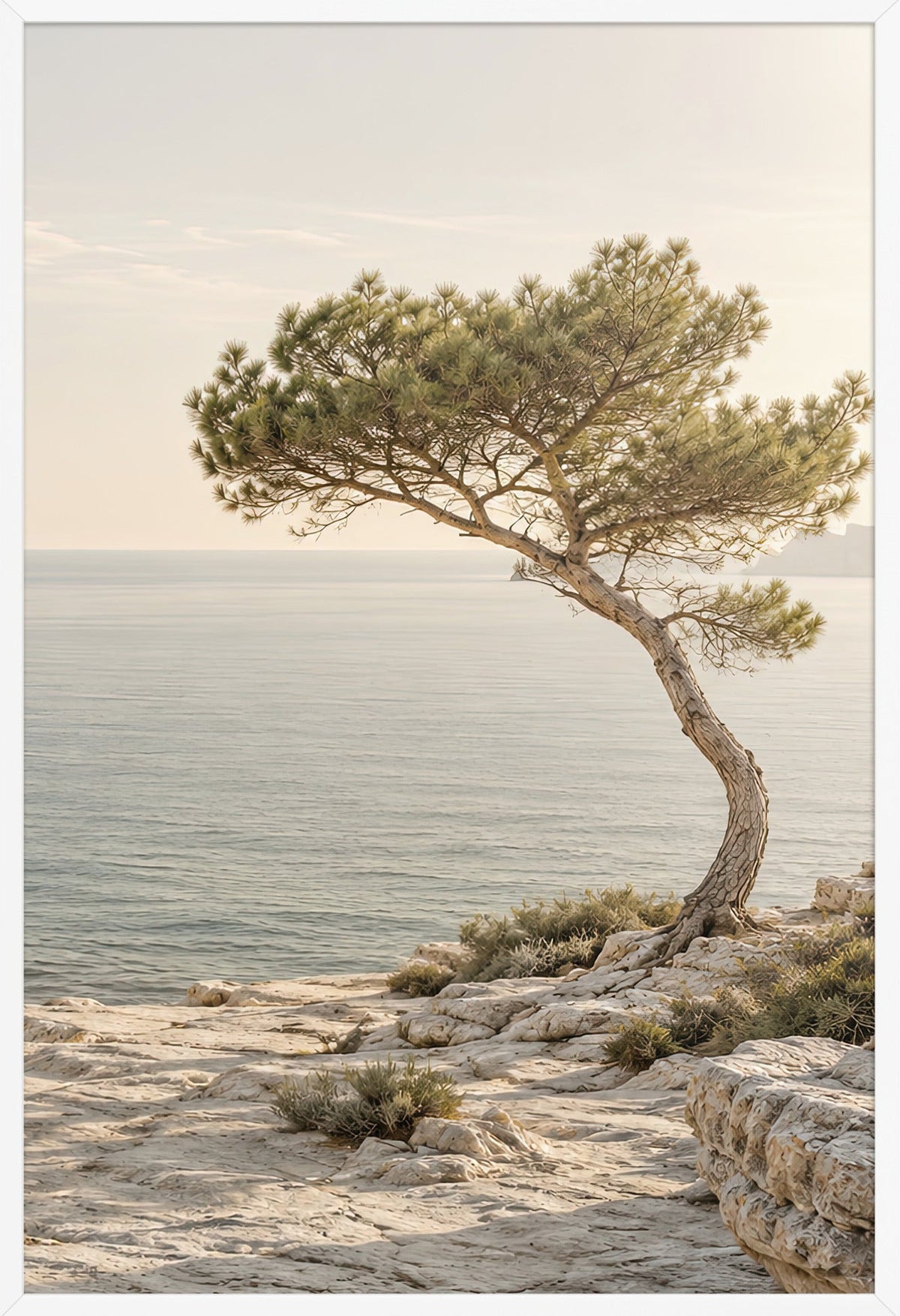 El Pino de la Orilla — marco blanco, 61 × 91 cm