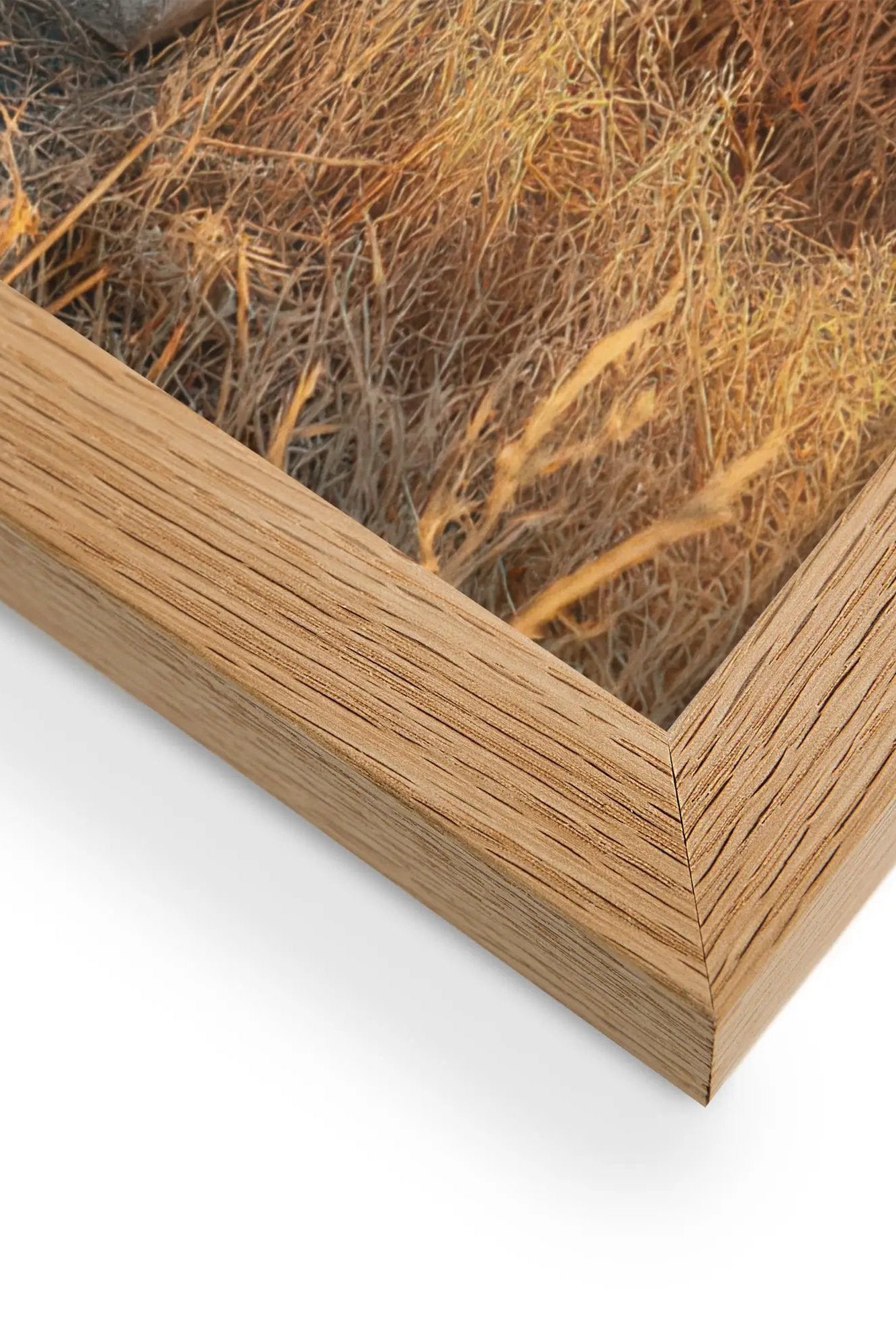Goldene Überreste – Minimalistisches Wandbild in Beige und Gold mit Landschaft