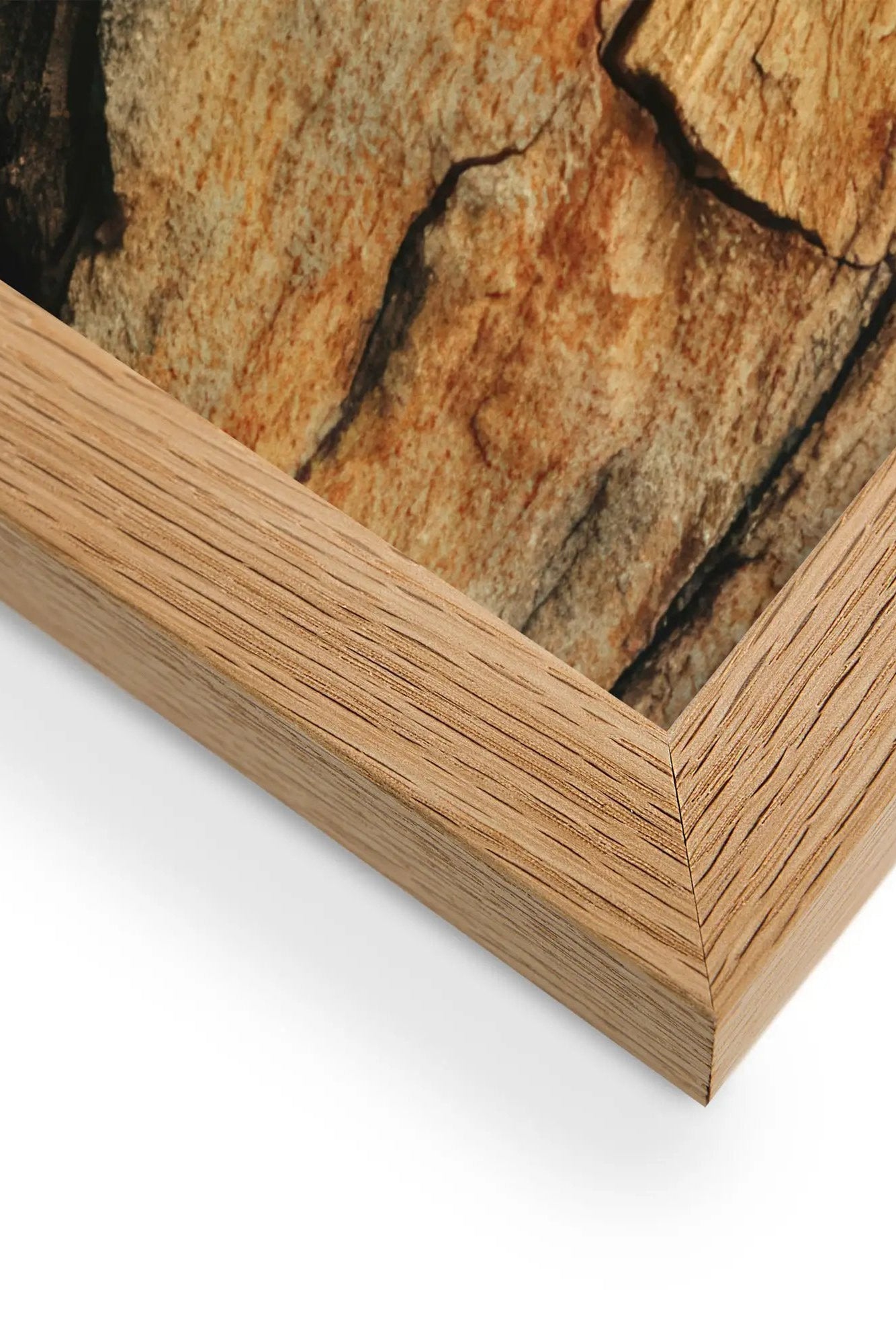 The Living Bark — Framed