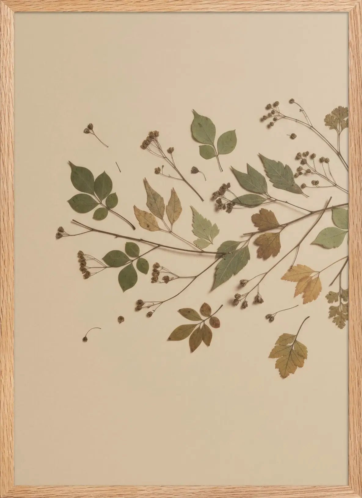 Herbier Sauvage — Encadrée — affiche murale minimaliste | Cassili-home