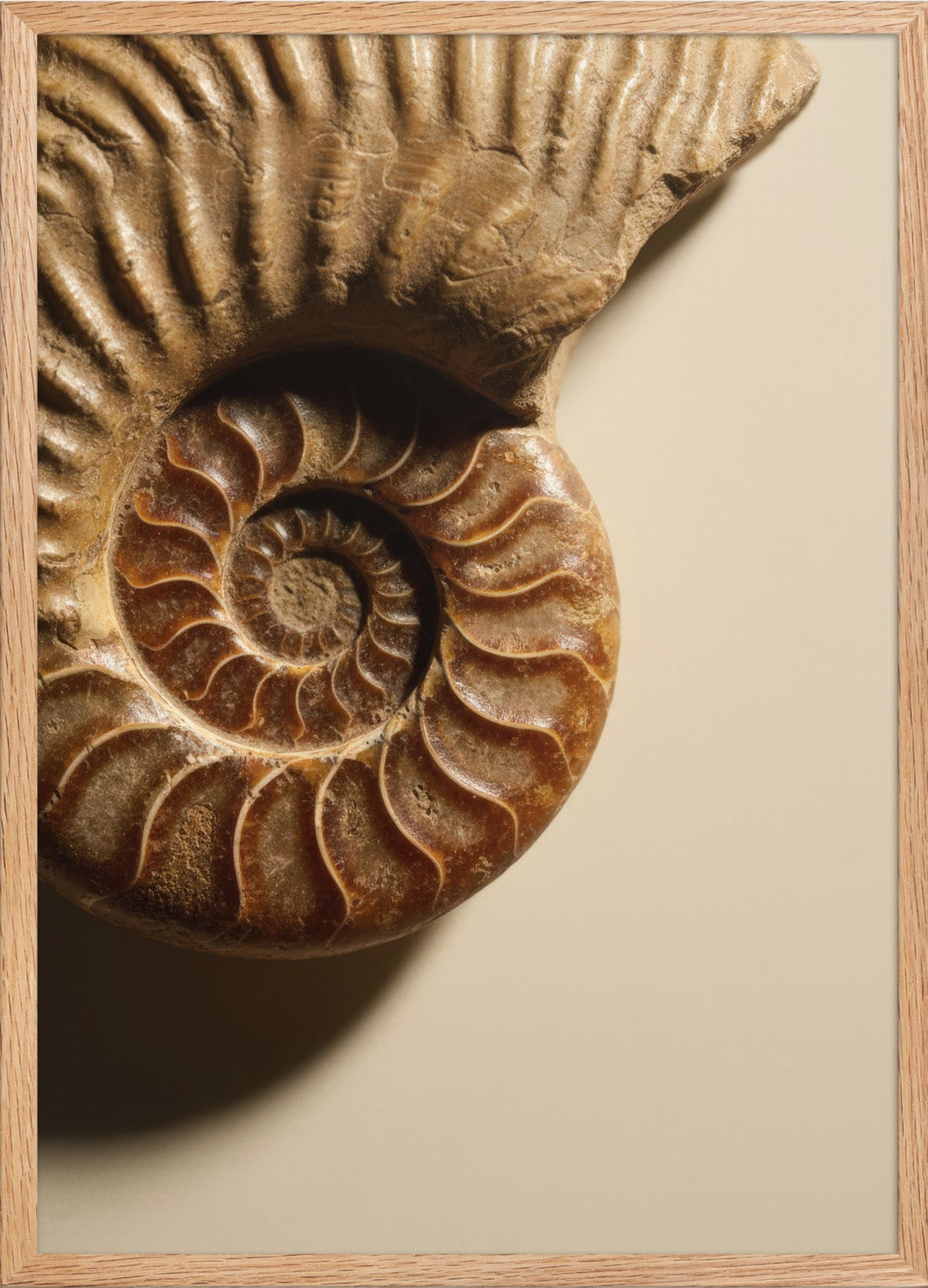 Spirale d'Ammonite — Encadrée — affiche murale minimaliste | Cassili-home
